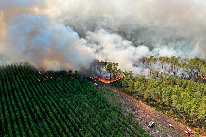 Incendie en Gironde : Plus de 10 terrains de foot brûlent chaque minute,  le point sur l'inquiétante reprise du feu 