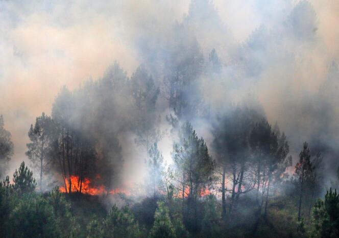 In the year  July 13, 2022 A wildfire burns through vegetation in the Landes in southwestern France.  On July 13, 2022, two fires in the Gironde burned nearly 1,700 hectares of pine trees, forcing the evacuation of 6,000 campers.  A heat wave in western Europe is fueling wildfires across vast swathes of forest (Photo by Laurent Thielet/Pool/AFP)
