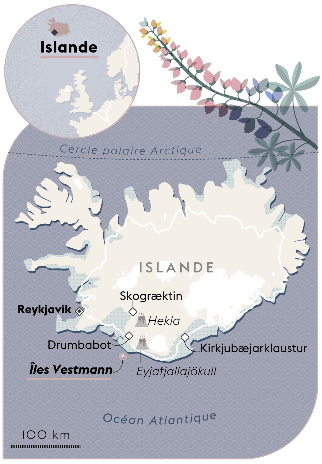 En Islande Des Habitants Replantent