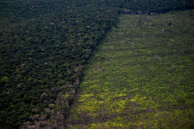 Vue aérienne d’une zone déboisée de la forêt amazonienne lors d’un vol entre Manaus et Manicore, dans l’État d’Amazonas, au Brésil, le 6 juin 2022. 