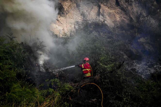 Des pompiers luttent contre le feu près de Baião, dans le nord du Portugal, le 15 juillet 2022.