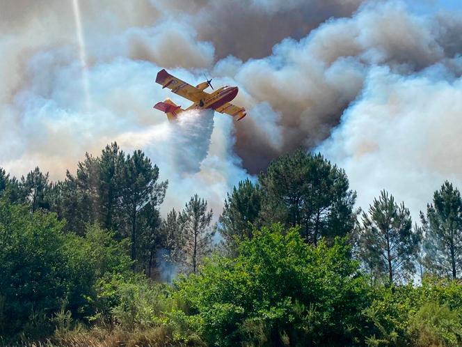 Incendie au sud d'Avignon : reprise de feu «virulente», des quartiers  évacués