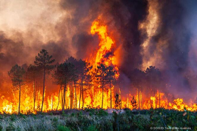 This fire is a monster': No end in sight for firefighters tackling  unprecedented Gironde blazes