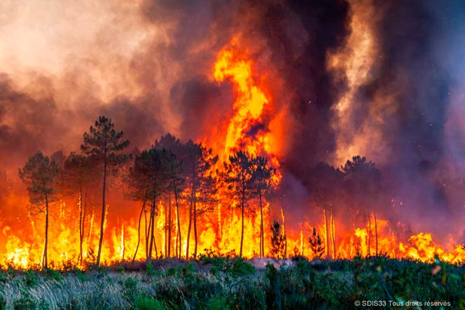 This fire is a monster': No end in sight for firefighters tackling  unprecedented Gironde blazes