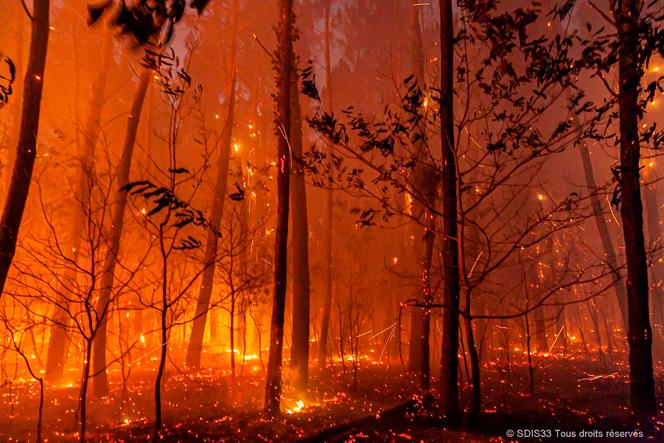 Un feu de forêt à Landiras, en Gironde, en 2022.
