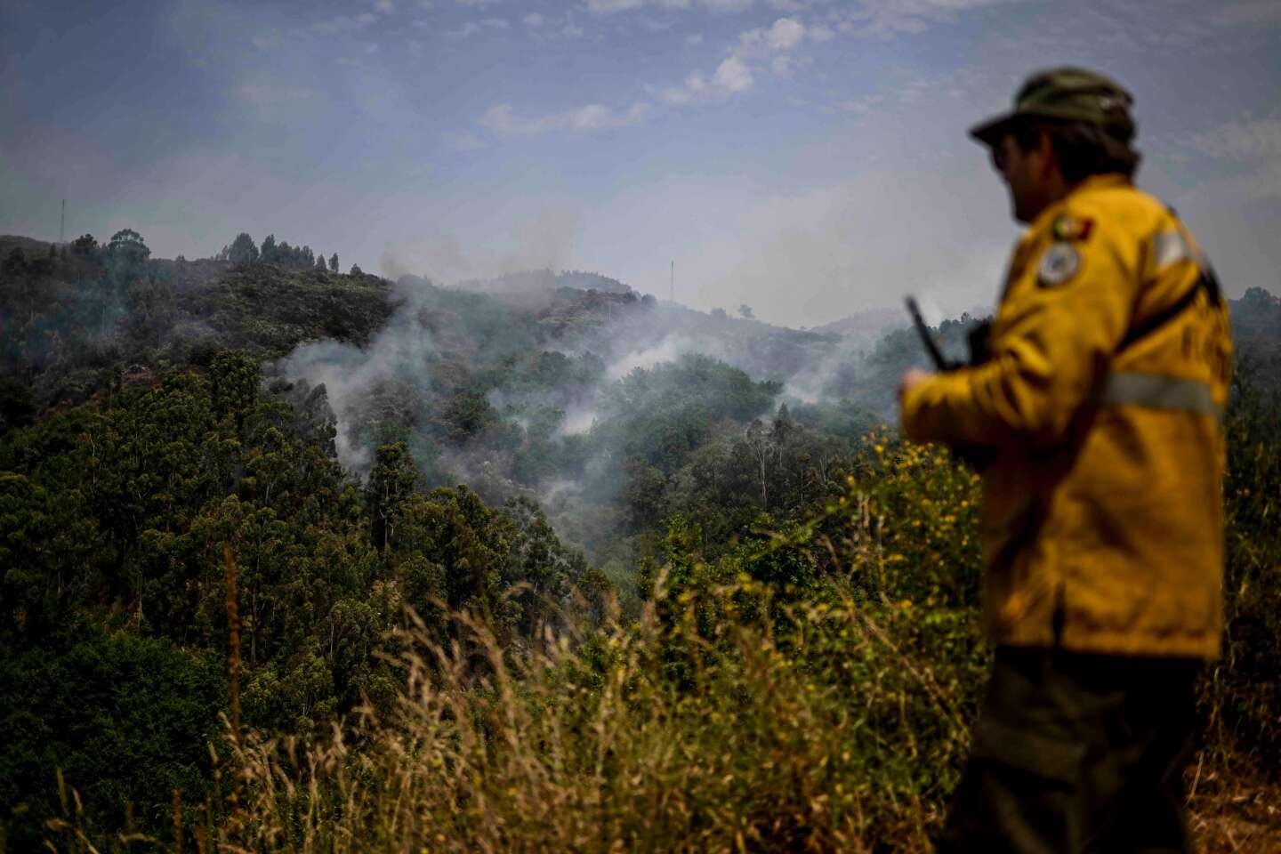 Miles de hectáreas de bosque arrasadas por un incendio en España