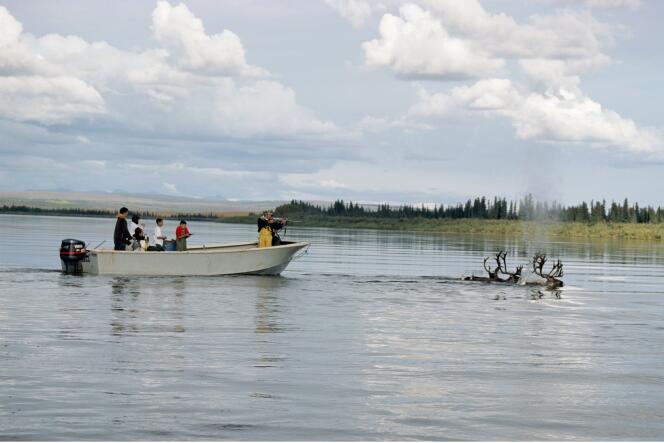 Using a powerful motorboat and automatic rifles, young Inuit hunt caribou on the Kobuk River in Alaska in May 2007