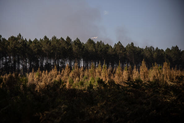 Un canadair survole le feu qui ravage la fôret de Landiras, en Gironde, le 17 juillet 2022.