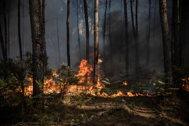Forest fire in Landiras, Gironde, on July 17, 2022