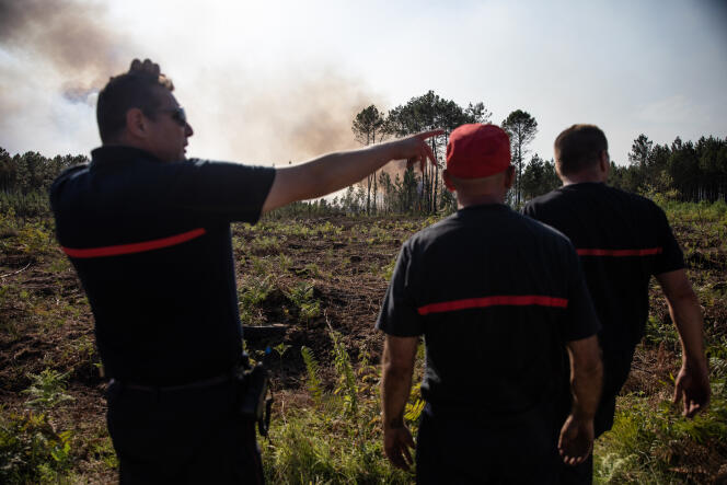 Des pompiers repérant un départ de feu dans un espace forestier très dur d'accès, à Landiras, en Gironde, le 17 juillet 2022.