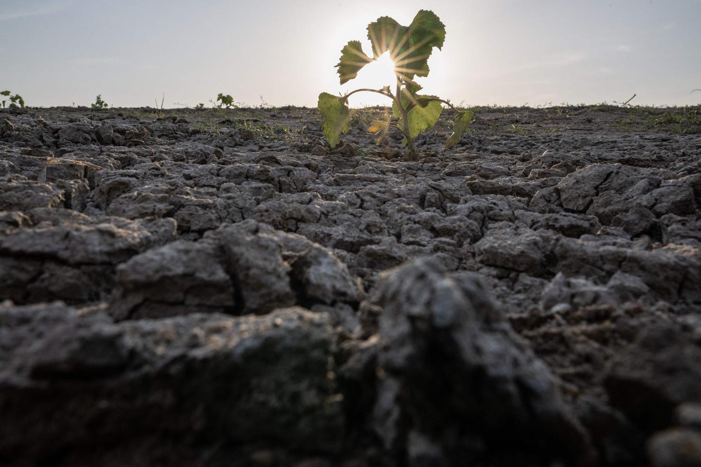 « Fractures françaises » : l’environnement, un enjeu majeur dans les préoccupations des Français