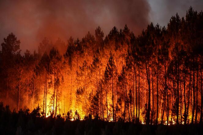 Forest fire in Louchats, south-western France, on July 17, 2022.