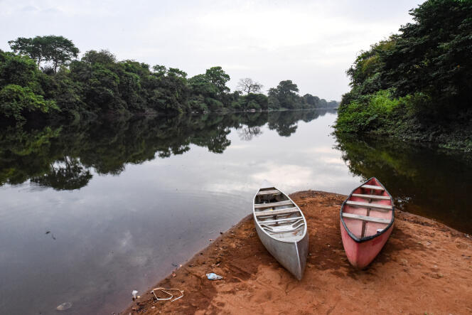 Le parc national d’Outamba-Kilimi, en Sierra Leone, en mars 2020.