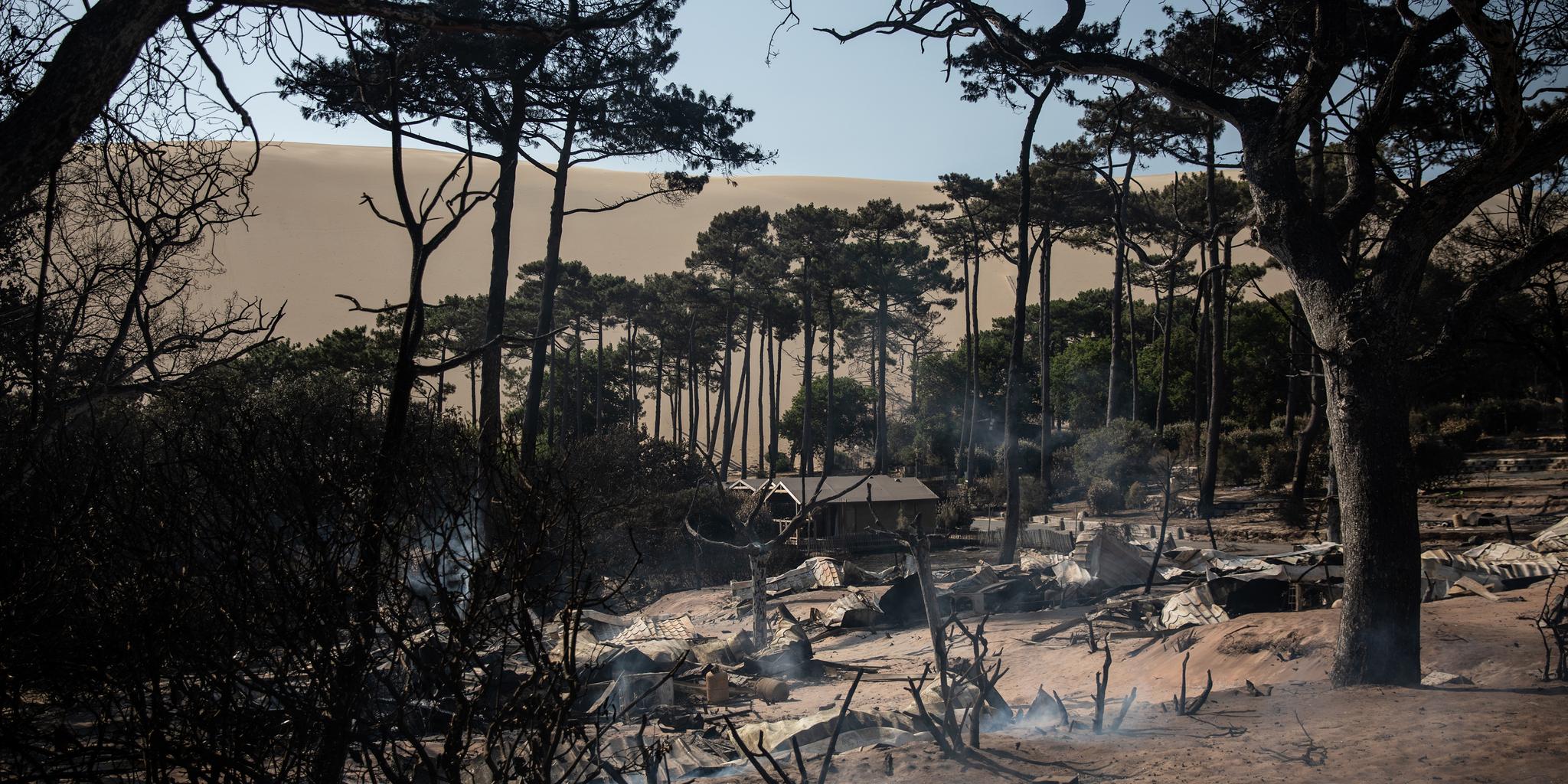 Incendie en Gironde au pied de la dune du Pilat, « tout a brûlé » et la cendre a recouvert le