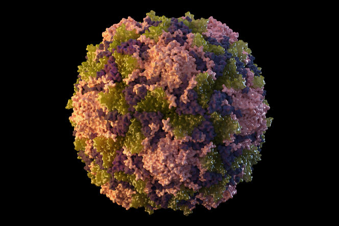 Ilustracja wirusa polio wykonana w 2014 roku przez amerykańskie Centrum Kontroli Chorób.