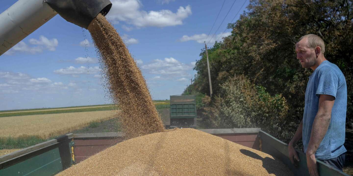 un accordo per autorizzare l’esportazione di blé aine est attendu dans la journée
