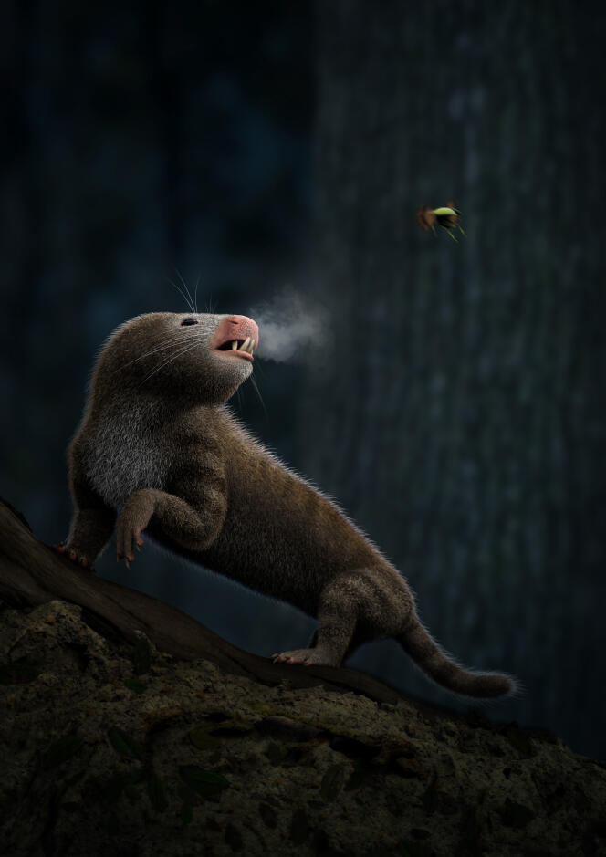 Un mammaliamorphe, ancêtre mammifère, à sang chaud expirant de l’air chaud dans une nuit glaciale.