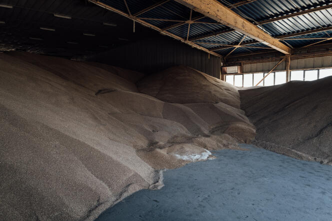 Des tonnes de céréales attendent leur exportation vers l’étranger, dans l’oblast d'Odessa (Ukraine), le 16 juillet 2022.
