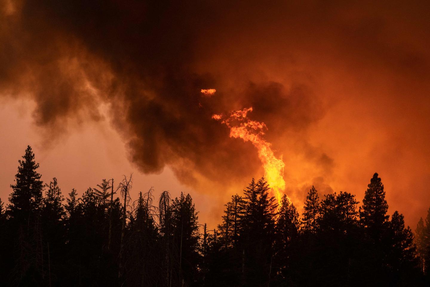 Violent fire “Oak Fire” continues to extend to California, thousands of