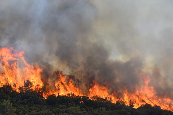 This picture taken on July 26, 2022, shows flames rise during a forest fire near Gignac, southern France, as the country endures a dry summer with wildfires destroying numerous forests across France.