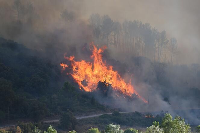 Un feu de forêt près de Gignac (Hérault) le 26 juillet 2022.