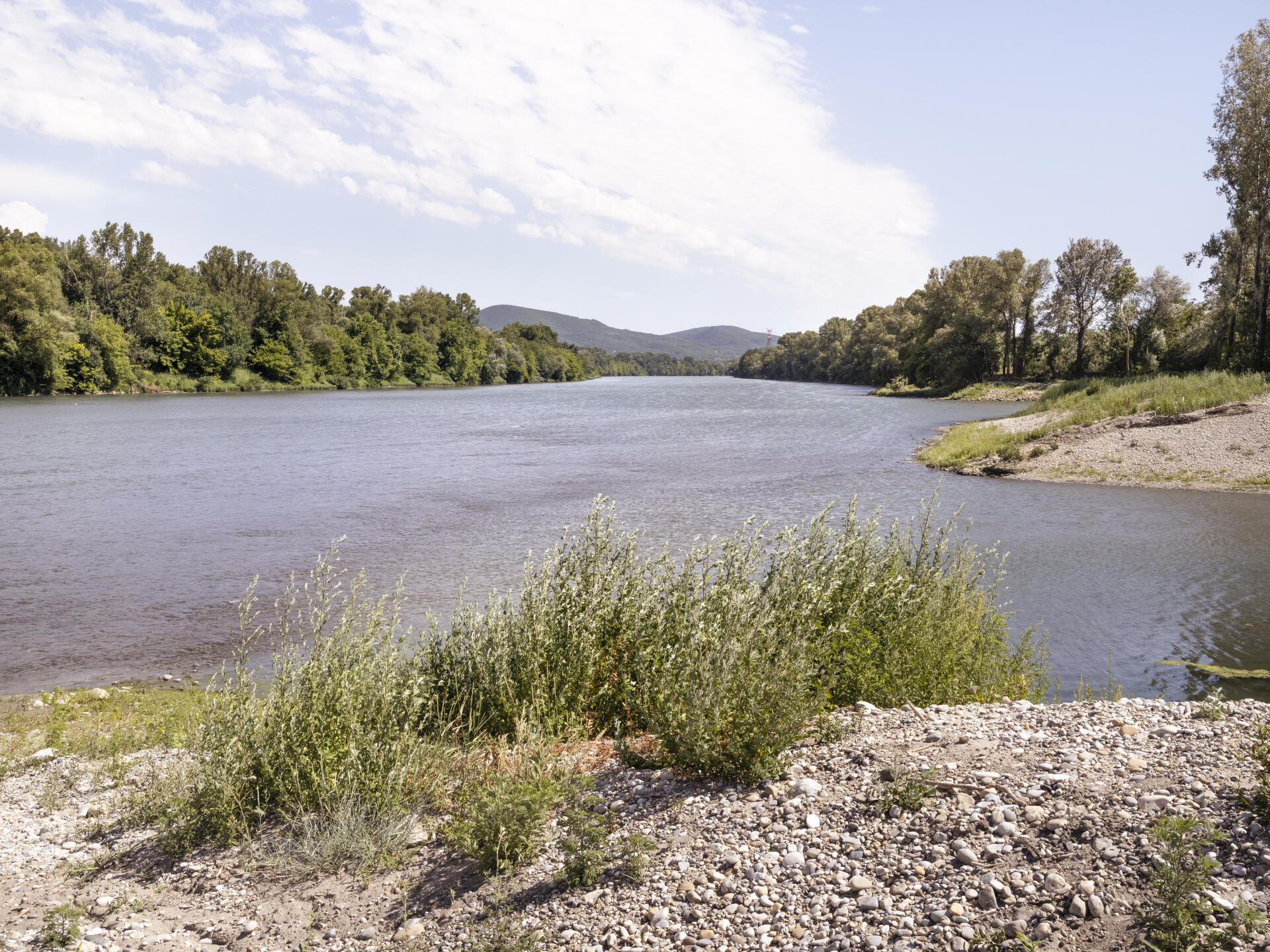 Le Vieux Rhône, sur le site de la lône de Géronton et de ses marges alluviales, dont les actions de restauration ont été achevées début 2022, à Baix (Ardèche), le 28 juin 2022.