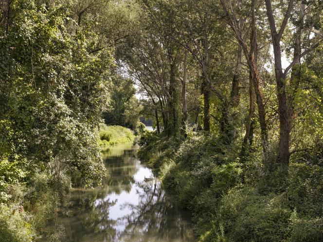 O esmagado Grange lône, restaurado em 2018, em Bourg-Saint-Andéol em Ardêche, 7 de junho de 2022. Outras obras de renaturalização do rio estão começando no Ródano, ao sul de Lyon.