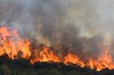 Incendies en France : qui sont les pyromanes et pourquoi font-ils cela ?
