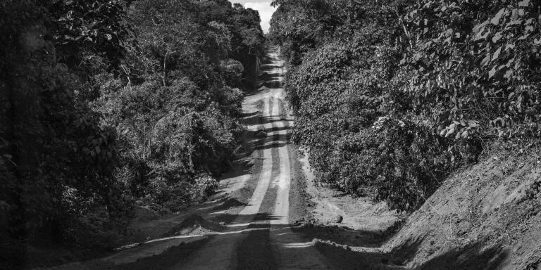 JACAREACANGA, BRAZIL - MAY 24, 2022: Stretch of Transamazonian Highway between Itaituba and Jacareacanga corossing the Amazonia National Park.