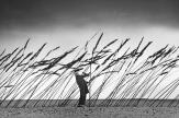 Le Havre : au Musée d’art moderne André-Malraux, des artistes emportés par le vent