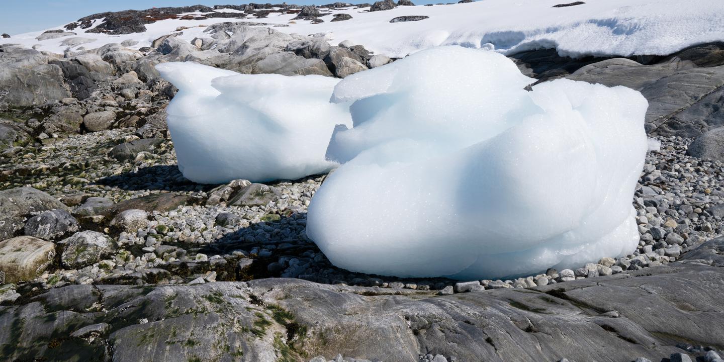 Rock flour, a promising nutrient from Greenland's melting ice