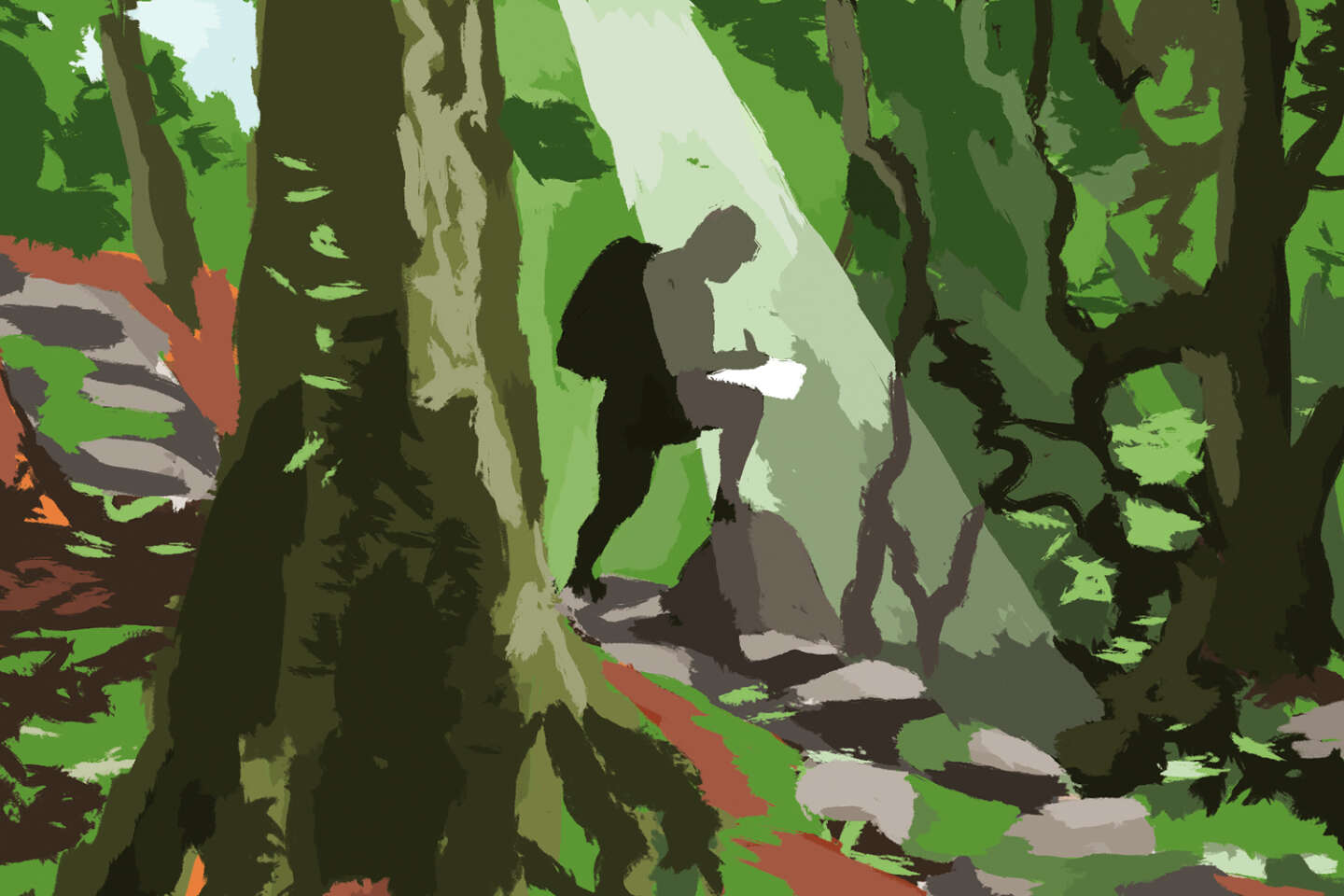 L’immersion de l’illustrateur Alexandre Benjamin Navet dans la forêt de « Princesse Mononoké » : « J’avais l’impression d’aller dans l’infiniment petit »