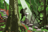 L’immersion de l’illustrateur Alexandre Benjamin Navet dans la forêt de « Princesse Mononoké » : « J’avais l’impression d’aller dans l’infiniment petit »
