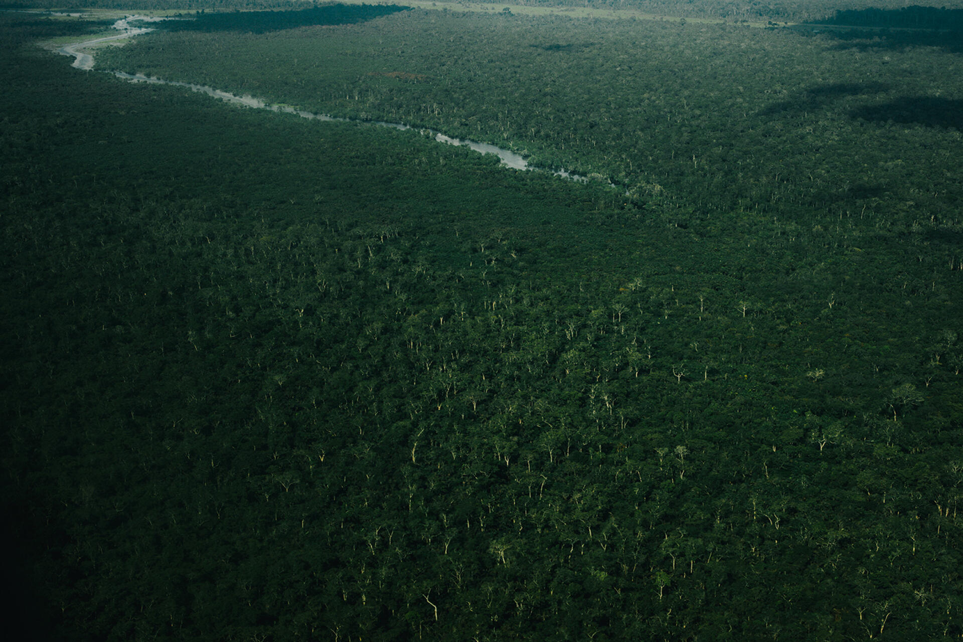 La forêt de la province de l’Equateur, près de la ville de Mbandaka, en République démocratique du Congo. Toutes les photos ont été prises en octobre 2021.