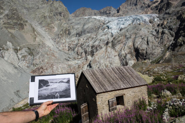 Thierry Maillet montre une photo datant de 1895 du glacier Blanc et de l’ancien refuge Tuckett, le 26 juillet 2022.
