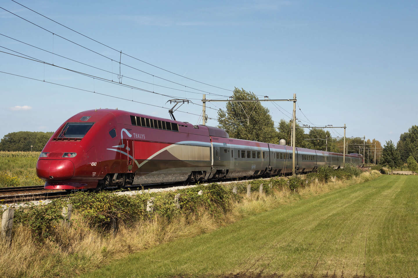 Thalys : en France, en Belgique et aux Pays-Bas, chaos dans les gares après  un choc entre un train et un animal