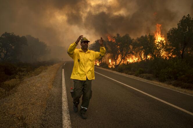 Un feu de forêt près de Ksar El Kebir, dans la région de Larache, le 15 juillet 2022.