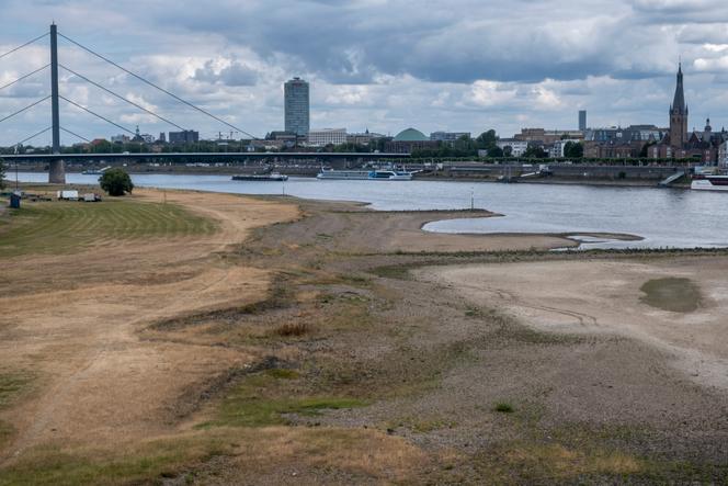 Le lit du Rhin a reculé d’une dizaine de mètres à certains endroits à Düsseldorf (Allemagne), le 27 juillet 2022. 