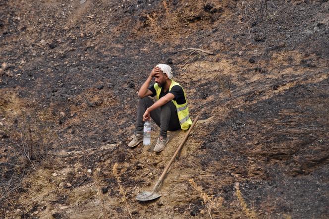 Un volontaire engagé dans la lutte contre les feux de forêt dans le nord de l’Algérie, le 12 août 2021.
