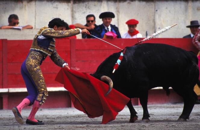 Bullfighting in Nîmes, southern France