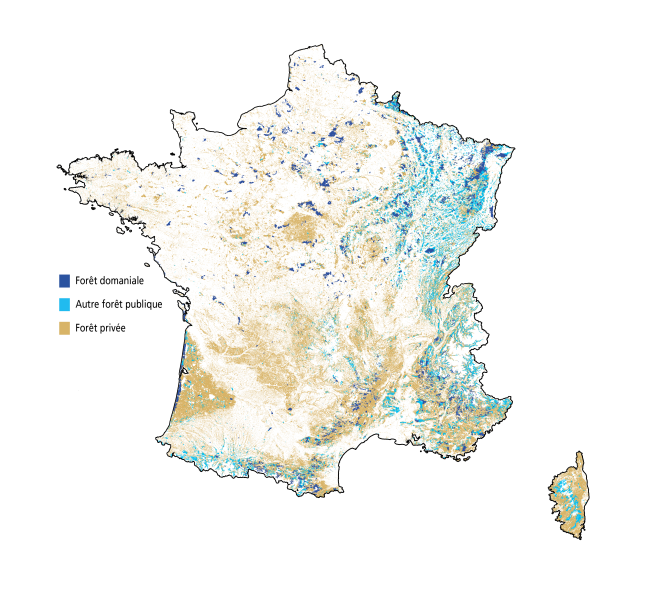 La répartition des surfaces forestières en France en fonction du statut de propriété.