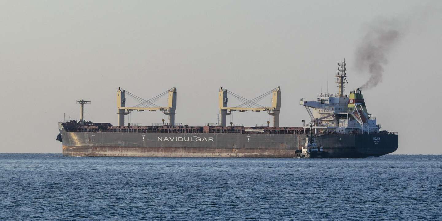Photo of cinco nuevos cargueros de cereales zarparán este domingo