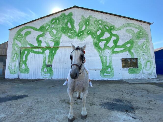 The horse Roméo – which represents the association Cheval Percheron Passion – poses in front of two frescoes of Percheron horses created by Philippe Baudelocque, during the first edition of the Rur festival, in September 2020, in Nogent-le-Rotrou (Eure-et-Loir ).
