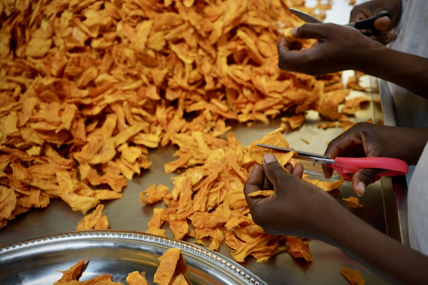 L’épopée de la mangue du Burkina Faso, ou comment « l’or orange » a conquis nos assiettes
