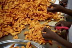 Dans l’unité de transformation de mangues séchées de Rosemonde Touré, à Ouagadougou, le 11 mai 2022.