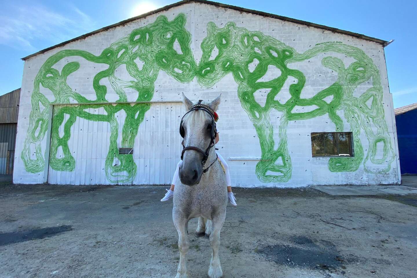 Figured'Art Peinture par Numéro Adulte Deux chevaux en couleur