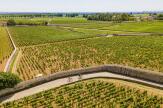 Le rebond de la production viticole française suspendu à la sécheresse