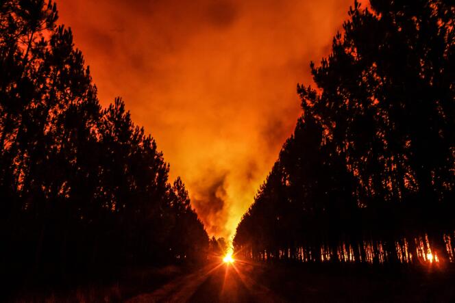 Durante un incendio forestal, cerca de Belin-Beliet (Gironda), durante los grandes incendios del verano de 2022.