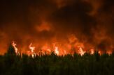 Climat : « La brûlure est la conséquence de l’emprise incontrôlée des entreprises sur nos vies »