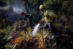 Des pompiers allemands contiennent un incendie à Hostens (Gironde), le 12 août 2022.